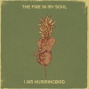 I Am Hummingbird - Intro (Dawn)