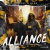 Rayvolt、Alee - Alliance