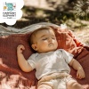 Calming Bedtime、The Baby Lullaby Kids - Tender Nightfall