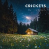 SoundScape Studio、Background Instrumental Music Collective - Wild Echoes