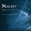 Neville Marriner、Academy of St Martin in the Fields - Mozart: Symphony in D No. 50, KV 161/163: 1. Allegro moderato