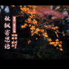 默念、盛开玫瑰 - 秋枫寄思语【盛开玫瑰版】