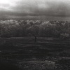 Somnia - Sync With Me