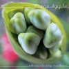 Fiona Apple - Extraordinary Machine (Album Version)