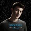 Shawn Mendes - Life Of The Party