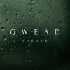 Carwyn - Gwead
