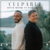 Davyd Freyre、paco ortega - Culpable
