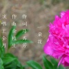 马秀芳、王全月 - 一朵花 (王全月版)