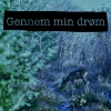 Naked Fish - Gennem min drøm
