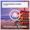 Damian Wasse、N-sKing - Fujisan