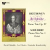 David Oistrakh、Sviatoslav Knushevitsky、lev oborin - I. Allegro moderato