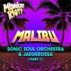 Sonic Soul Orchestra、Jaegerossa - Malibu (Extended Mix)