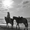 Andrew Hozier Byrne、Kapchiy、Alberto Del Busto Marsano、Christina Coliviras - Work Song