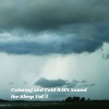 Sleep Music、Sleeping Music、Calm Sleep Music Masters - Rainmaker