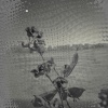 THE_ENCHANTER_GC、Gabriel Ciccone - Aconite