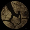 Pharmacy - Eclipse