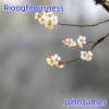 john james - Riooghtousness