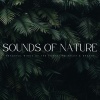 Matter and Energy、Relaxed and Peaceful Zen Music、Peaceful Relax Vibes - The Long Creek