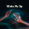 Blu Shore - Wake Me Up