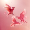 Restful Relaxation - Pink Wings