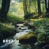 Green Wave Records、Sauna - Golden Shadows