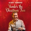Albert Hammond - Under the Christmas Tree