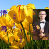 马秀芳 - 情毒 (伴奏)