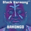 Black Harmony - Yenge Yenge