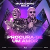 Mumuzinho、Belo - Procura-se Um Amor (Ao Vivo)