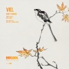 Viel - Last Chance