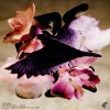 Just Emma、Gokan、Alex Twin - Lost (Alex Twin Remix)