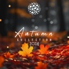 Asida Aya - Don't Give Up