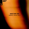 AMEME、Franc Fala - Wait For You