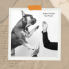 Nathan Grisdale - Best Friend