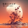 睡眠音楽の巨匠 - 光の子守唄