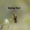 Reiko J Grimes - Going Out