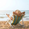Cocktail Party Music、Relaxation Therapy Music Zone、Relaxed and Peaceful Zen Music - Gentle Melodies for Serene Relaxation