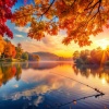 Cheerful Harmonies、Cheerful Soundtracks、Chasing The Eclipse - Gentle Sounds for Evening Calm
