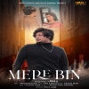 Akku、Mood Mechanic - Mere Bin