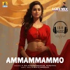 S.P.Balasubrahmanyam、Nanditha、DJ Hari Surat - Ammammammo (Lofi Mix)