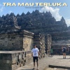 Yocka Elegant Boys、Brother's - Tra Mau Terluka