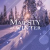 SIMI Studio Choir、Tbilisi Symphony Orchestra、Djansug Kakhidze - Symphony No. 9 in D Minor, Op. 125: I. Allegro ma non troppo, un poco maestoso