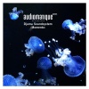 Djuma Soundsystem - Momento