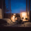 Lofi Town、Sleep Dream Music Academy、Sleep Easy Relax - Peaceful Music - Restful Lofi Nights