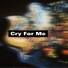 凯里猫 - Cry For Me (为我哭泣雨化作泪滴)