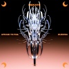 Rudosa - Afraid To Fail