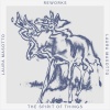 Laura Masotto、Rafael Anton Irisarri - Human (Robert Lippok Rework)