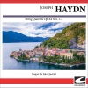 Casper de Salo Quartet - Haydn - String Quartet Op. 64, No. 1 in C major - Allegro