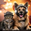 The LoFi Lounge、Soft Pet Music、Songs for Pets - Paws Pounding Beats