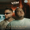 Leo De La Kuweit、nikolas、Manele VTM - Cu ce te-ai ales?